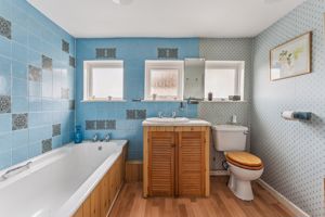 Photo 11- click for photo gallery